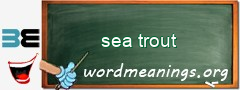 WordMeaning blackboard for sea trout